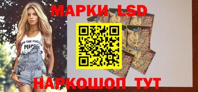 ECSTASY Новозыбков