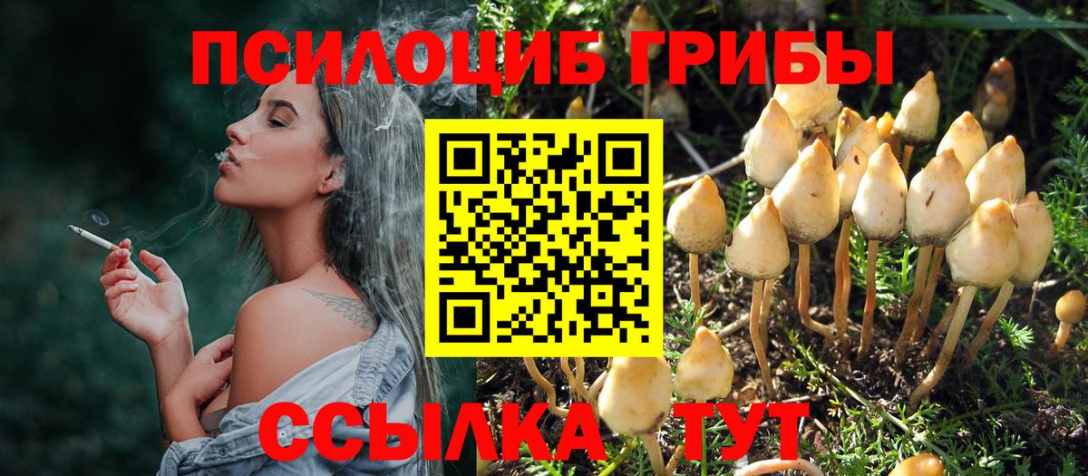 Новочебоксарск  Псилоцибиновые грибы ЛСД  Вход с VPN 